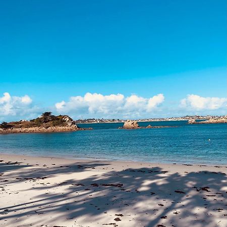 Ferienwohnung Studio Vue Sur Mer Avec Veranda - Roscoff Exterior foto