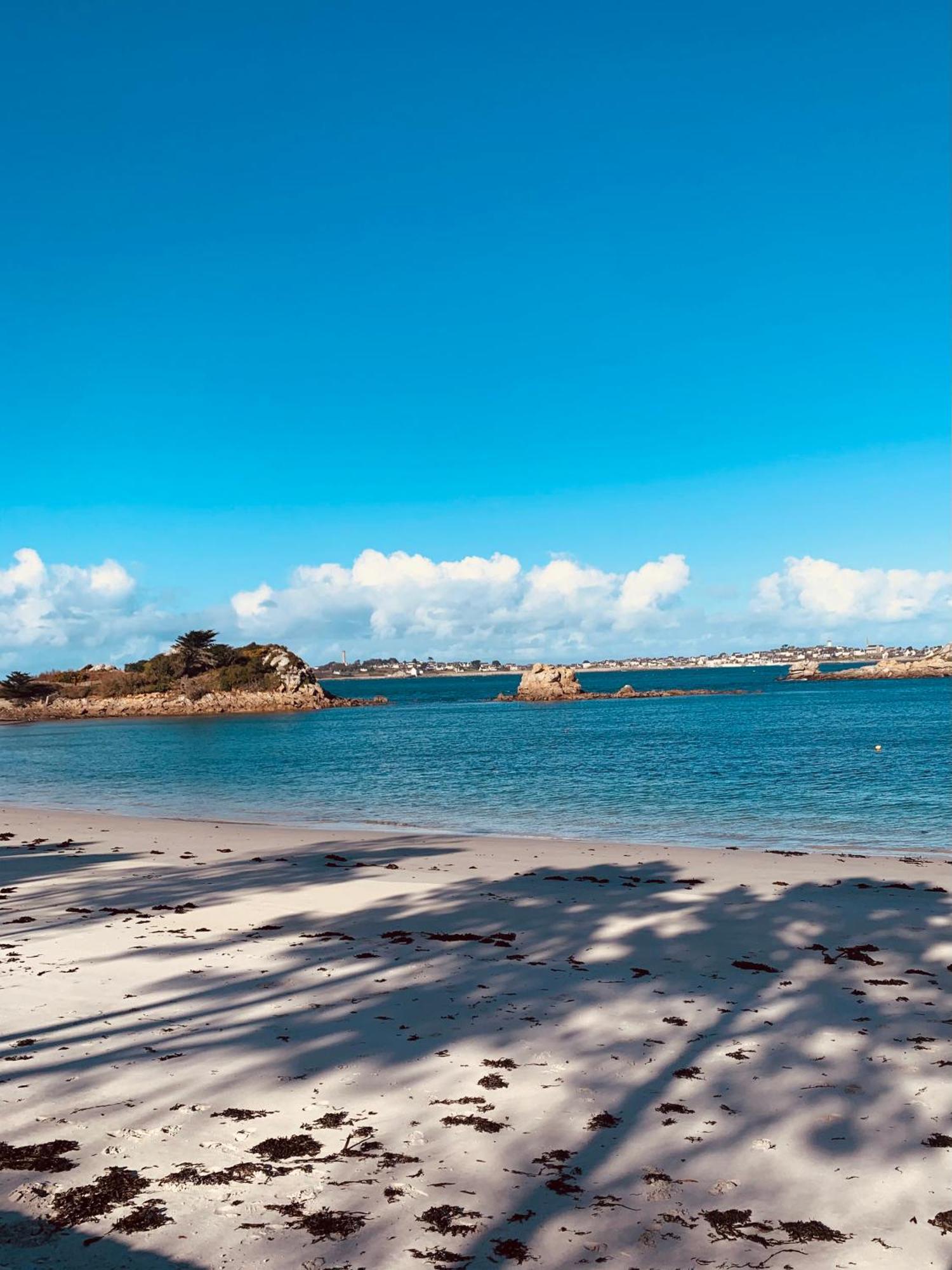 Ferienwohnung Studio Vue Sur Mer Avec Veranda - Roscoff Exterior foto
